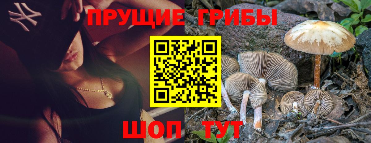 Псилоцибиновые грибы GOLDEN TEACHER  Вход с VPN  Астрахань 