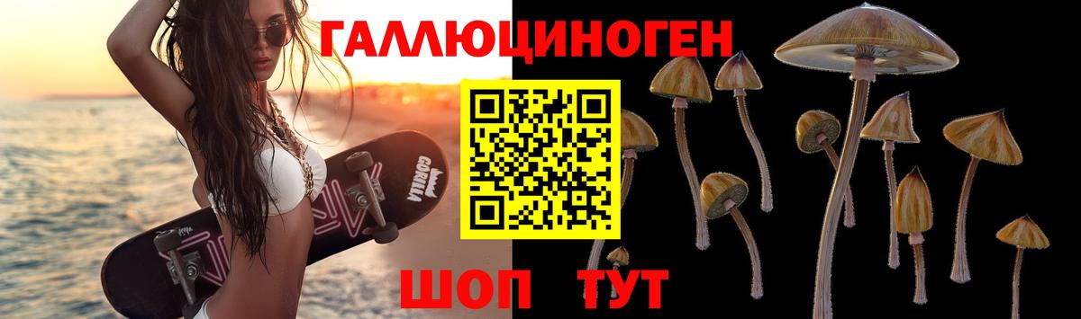 Псилоцибиновые грибы прущие грибы Астрахань